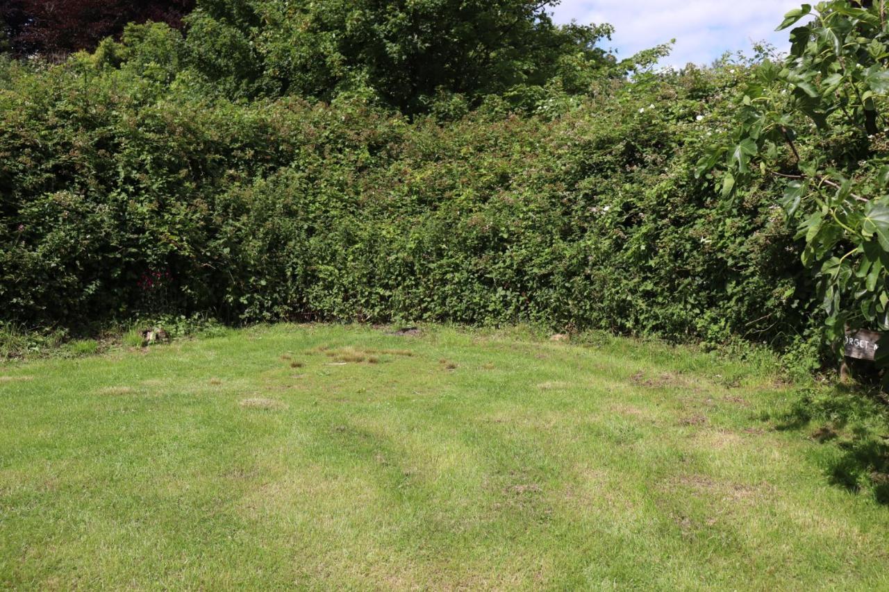 South Downs Eco Lodge & Camping East Meon Exteriör bild