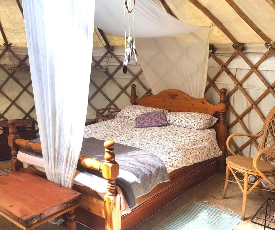 South Downs Eco Lodge & Camping East Meon Exteriör bild