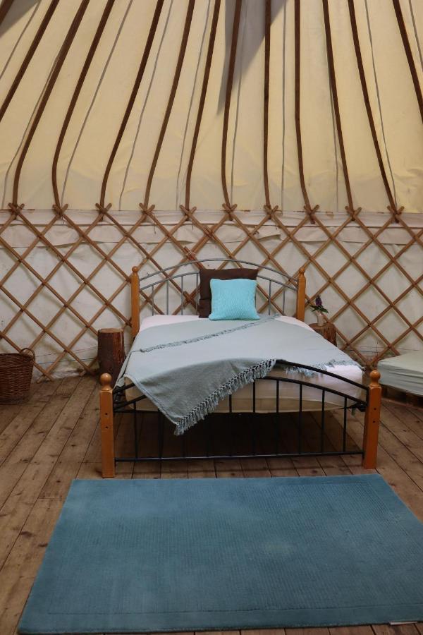 South Downs Eco Lodge & Camping East Meon Exteriör bild