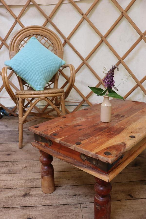 South Downs Eco Lodge & Camping East Meon Exteriör bild