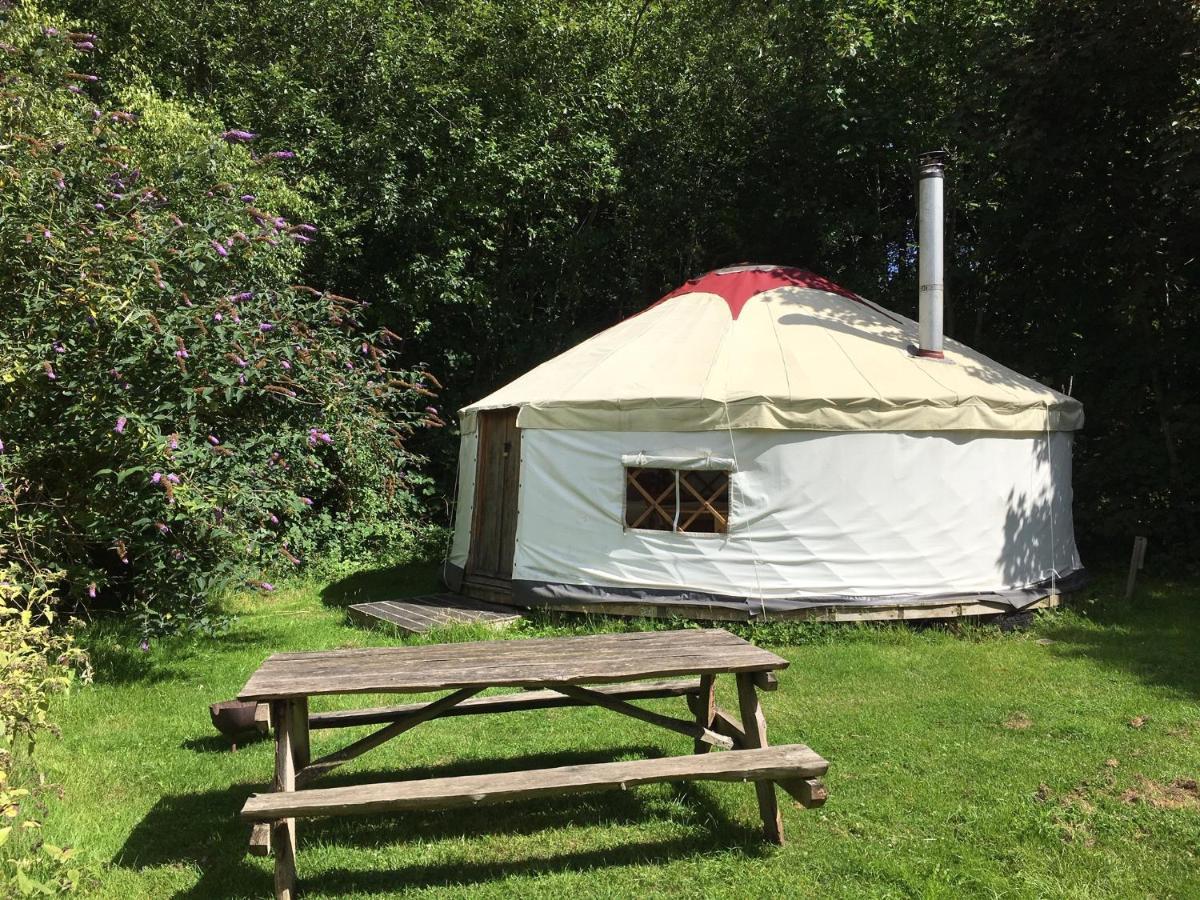 South Downs Eco Lodge & Camping East Meon Exteriör bild
