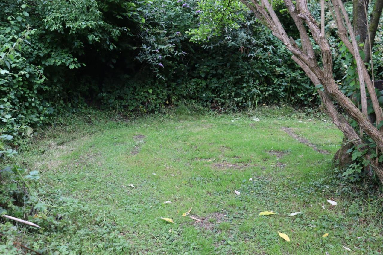 South Downs Eco Lodge & Camping East Meon Exteriör bild