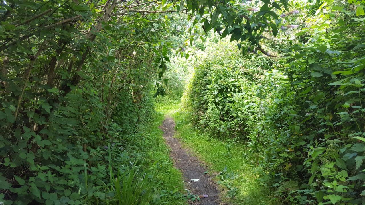 South Downs Eco Lodge & Camping East Meon Exteriör bild
