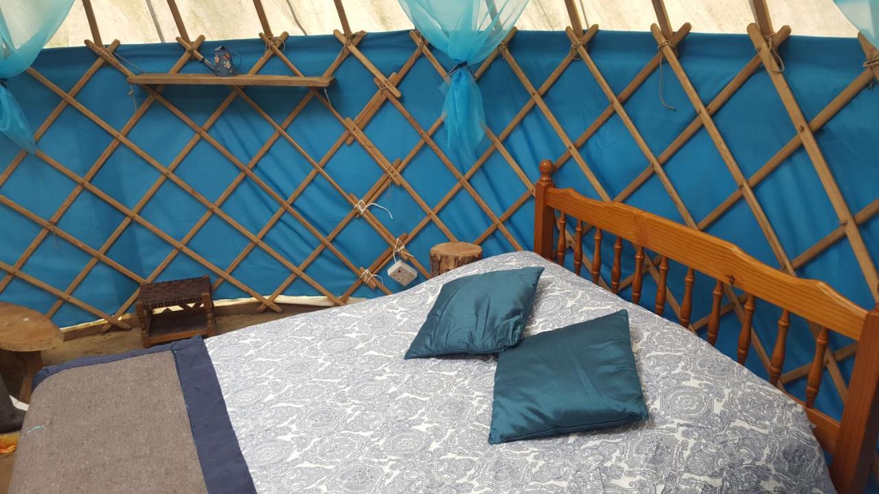 South Downs Eco Lodge & Camping East Meon Exteriör bild