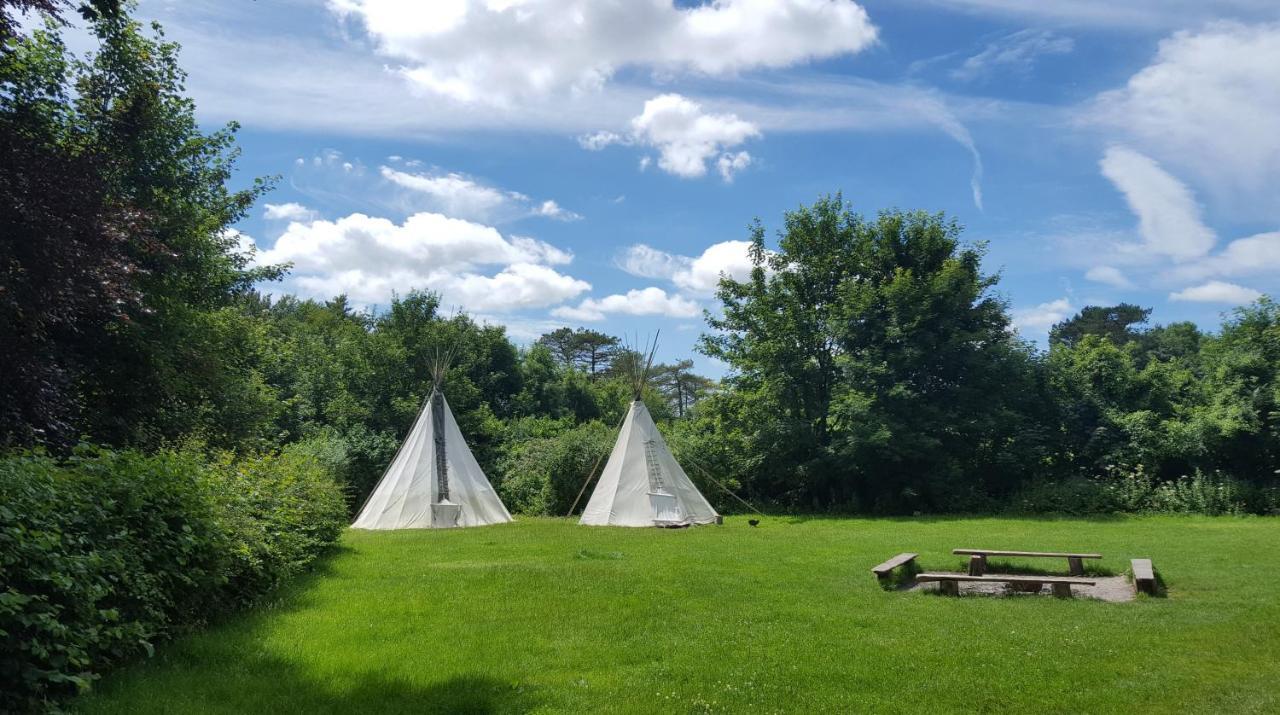South Downs Eco Lodge & Camping East Meon Exteriör bild