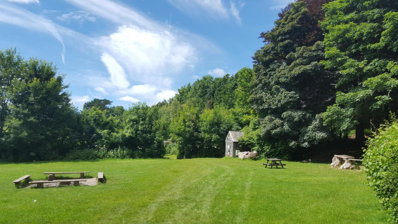 South Downs Eco Lodge & Camping East Meon Exteriör bild