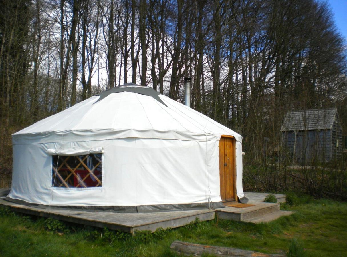 South Downs Eco Lodge & Camping East Meon Exteriör bild