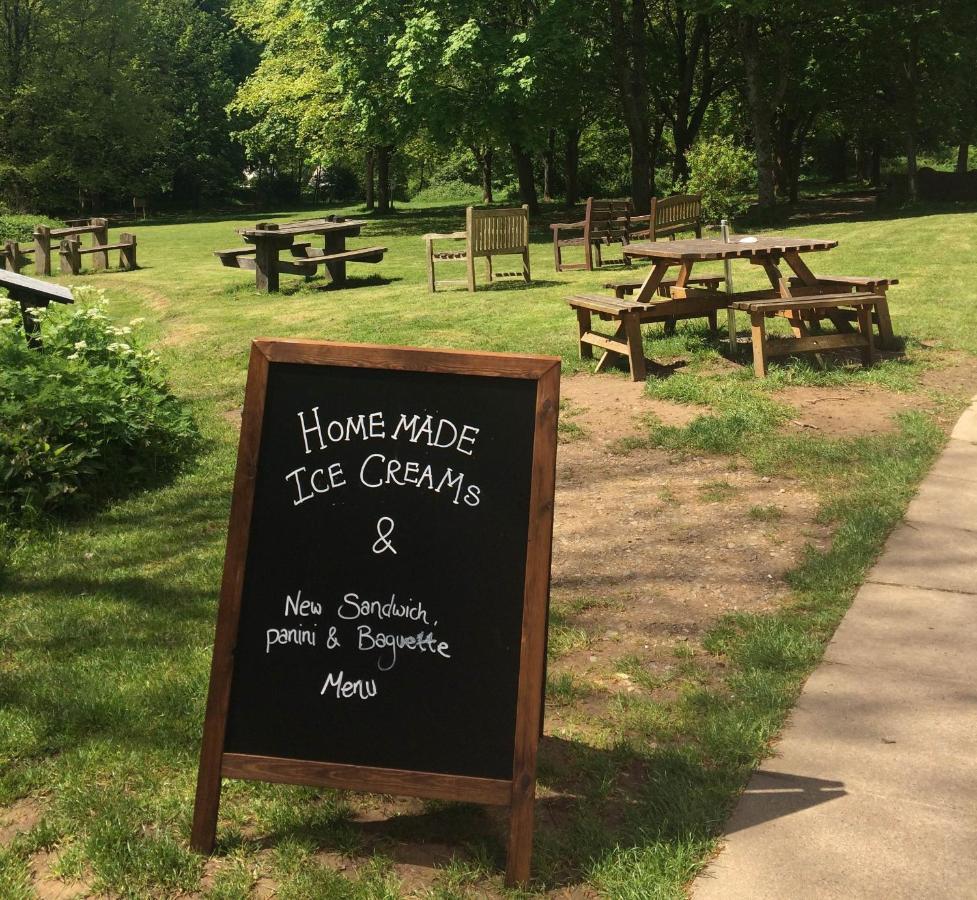South Downs Eco Lodge & Camping East Meon Exteriör bild