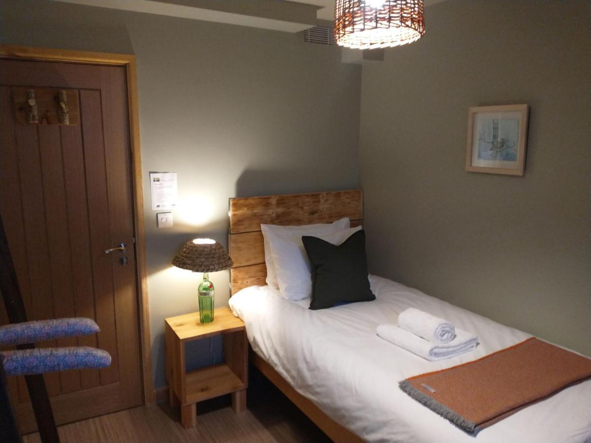 South Downs Eco Lodge & Camping East Meon Exteriör bild