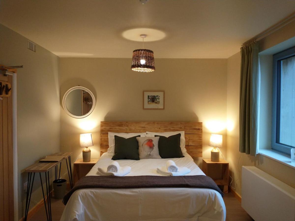 South Downs Eco Lodge & Camping East Meon Exteriör bild
