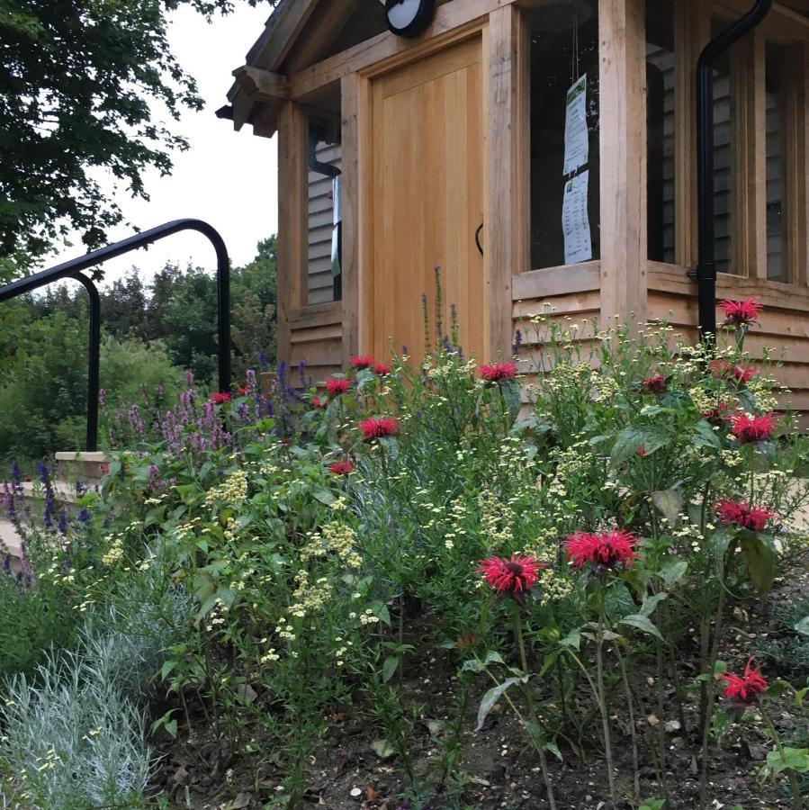 South Downs Eco Lodge & Camping East Meon Exteriör bild