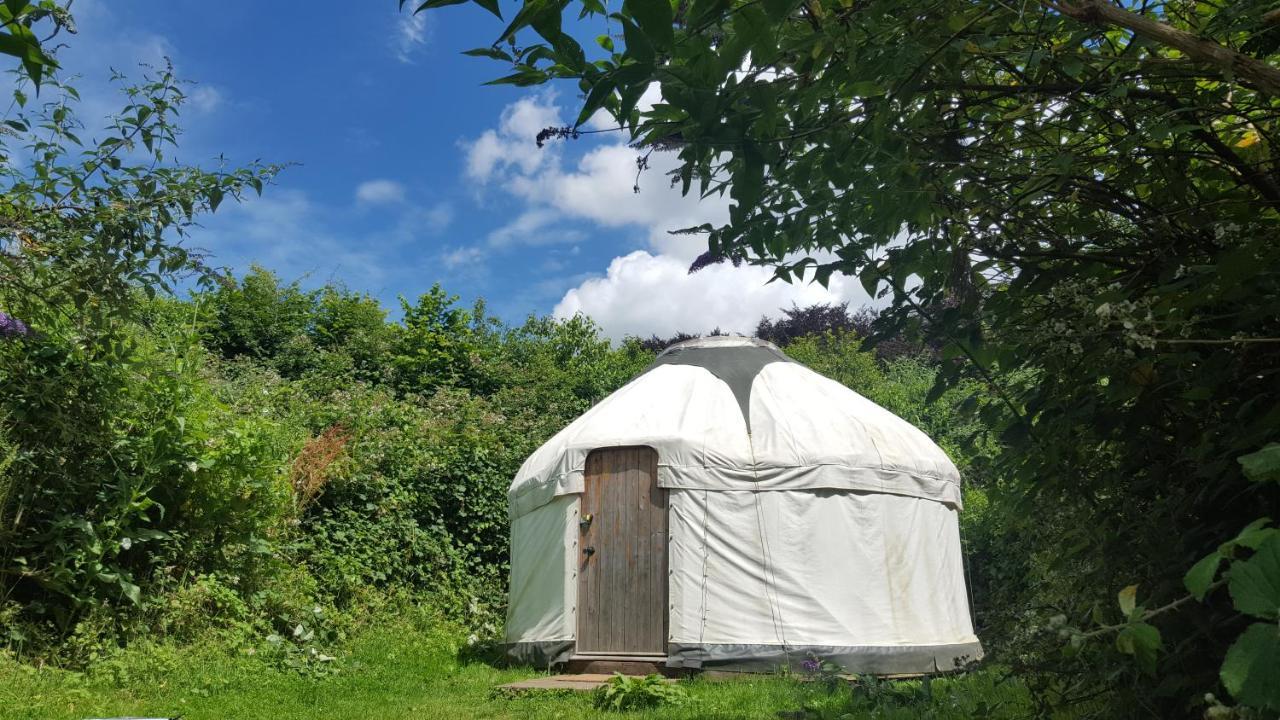 South Downs Eco Lodge & Camping East Meon Exteriör bild