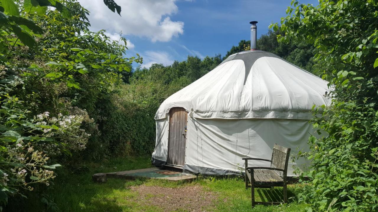 South Downs Eco Lodge & Camping East Meon Exteriör bild