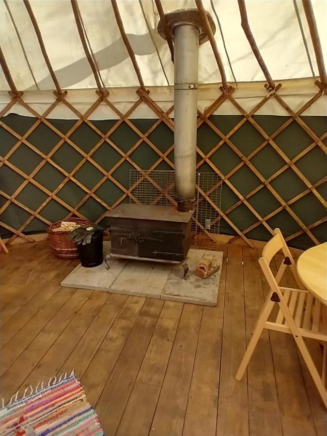 South Downs Eco Lodge & Camping East Meon Exteriör bild
